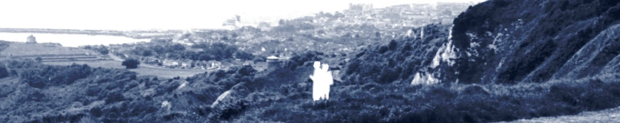cinema landscape